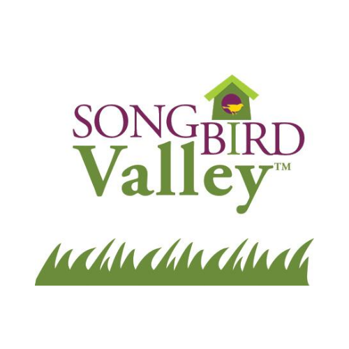 (image for) Songbird Valley